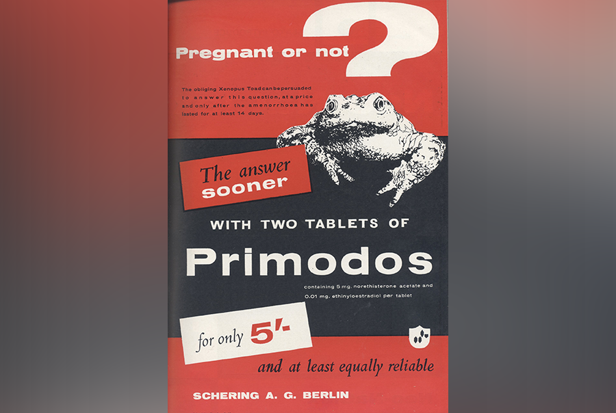 A historical argument for regulatory failure in the case of Primodos and other hormone pregnancy tests